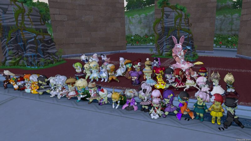 今週のどわこ☆11/3～9